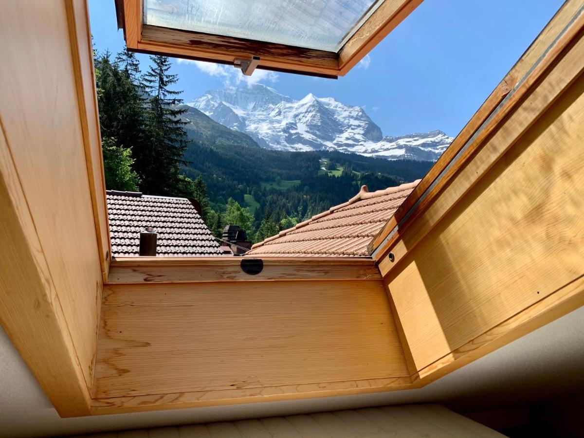 Chalet Aargovia เวงเงน ภายนอก รูปภาพ